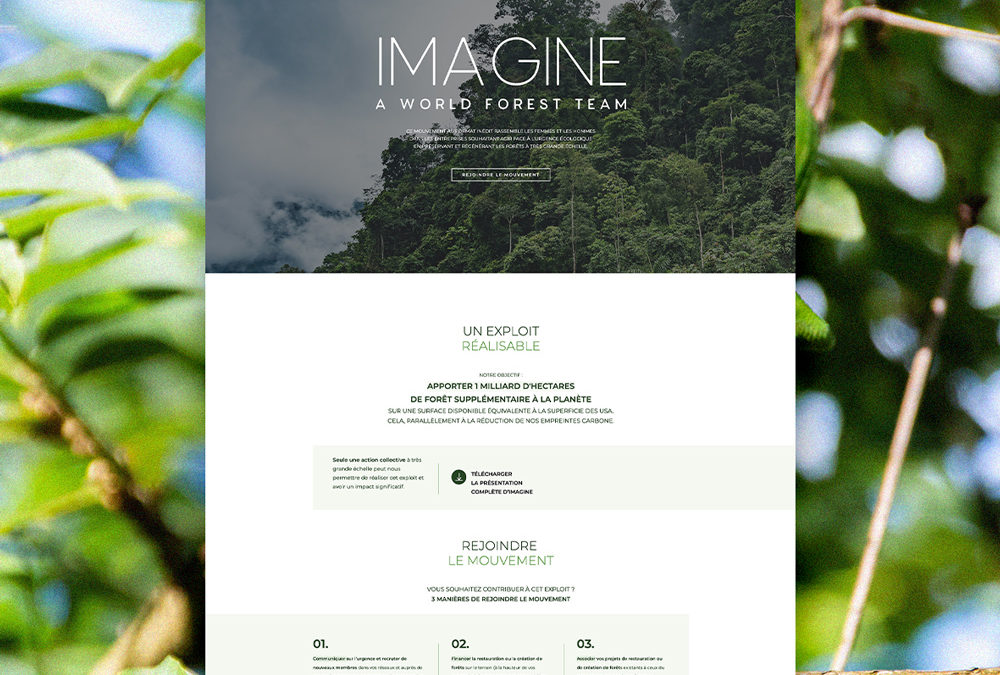 Imagine Forest